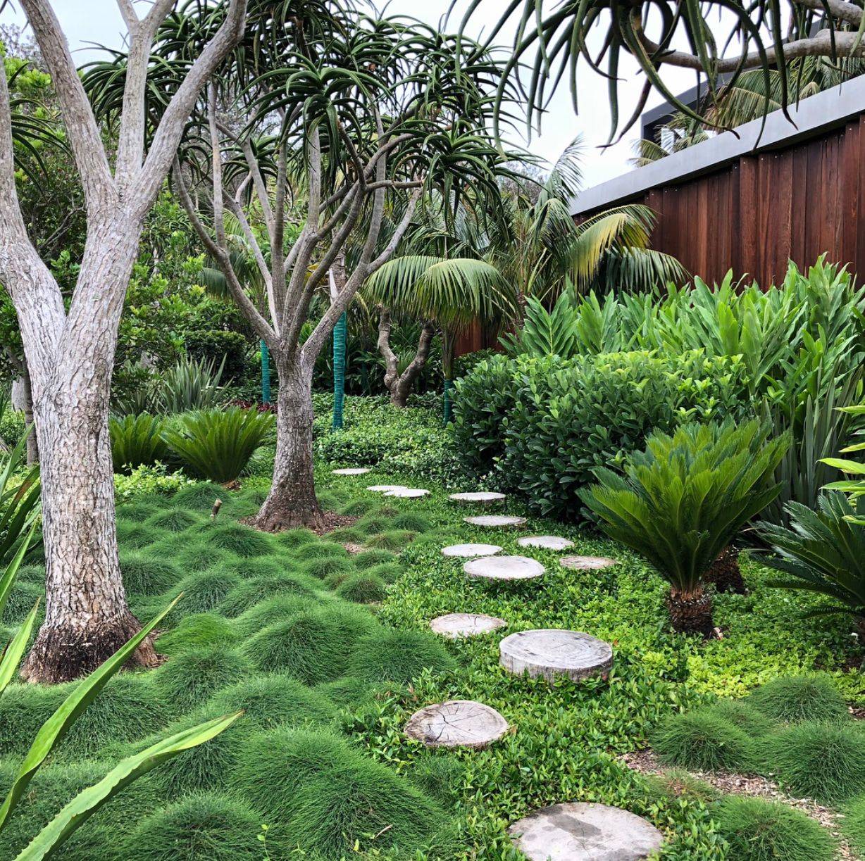 California Native Plants