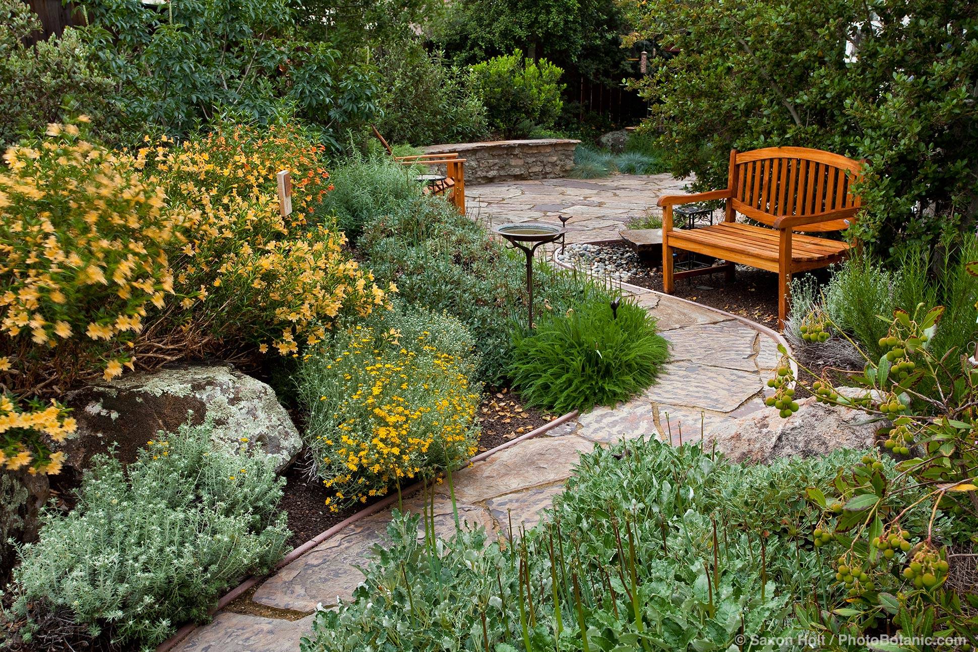 Australian Native Garden Design Ideas