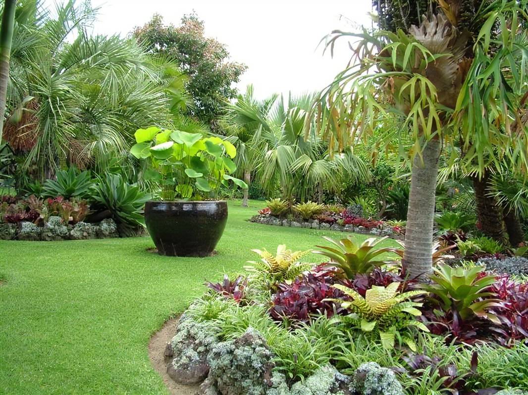 Gardening Australia Sydney Subtropical Style Bates Landscape