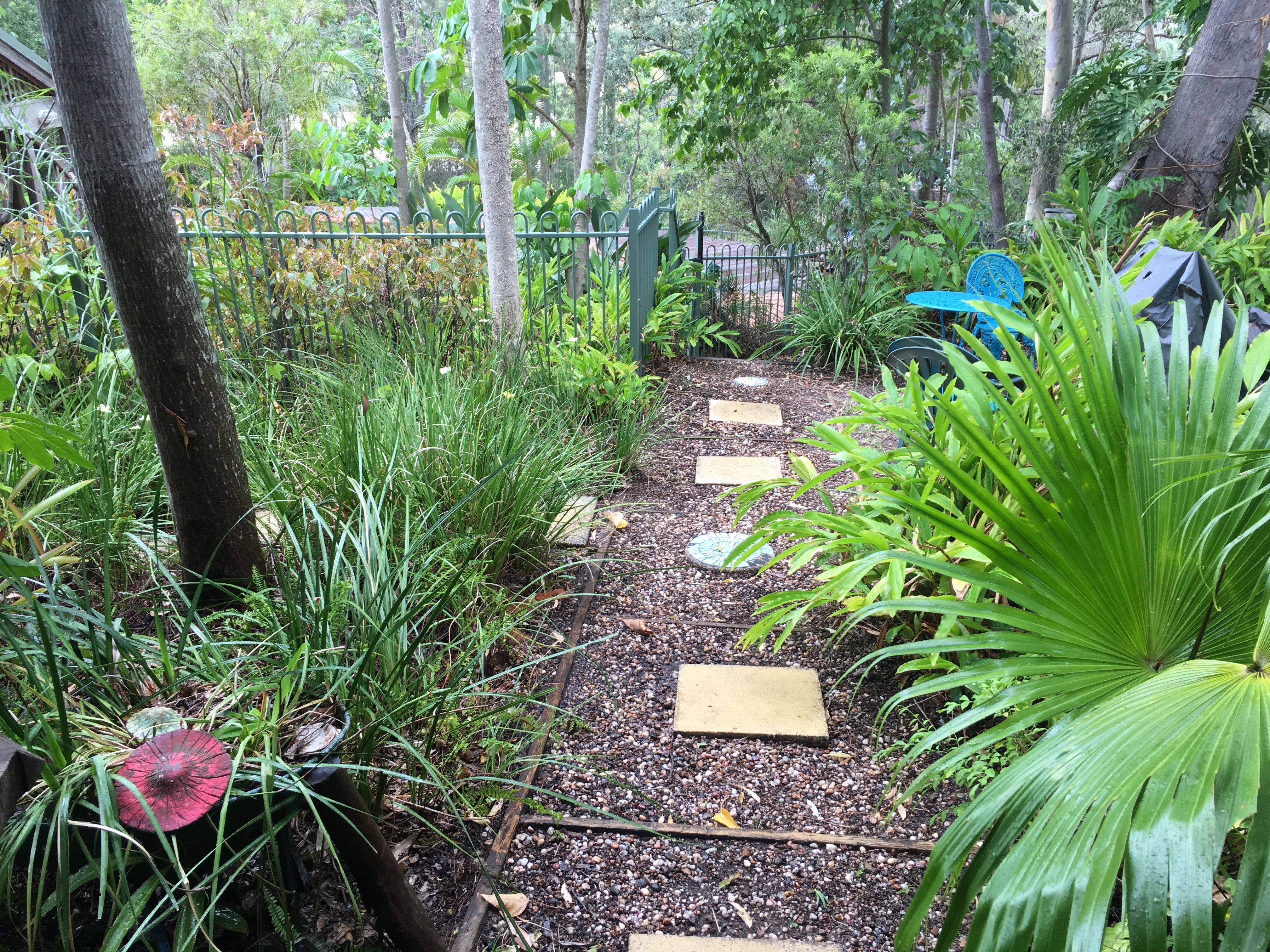New Zealand Urban Sub Tropical Garden Tropical Garden