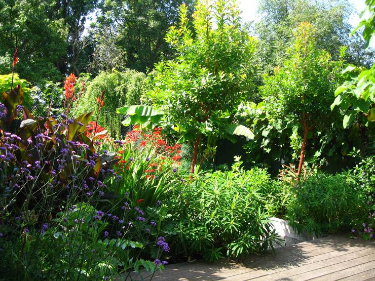 Nice Beautiful Tropical Front Yard Landscape Ideas