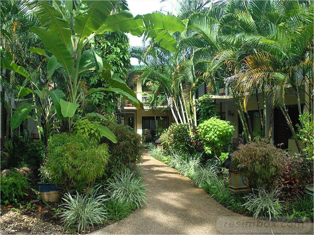 23 Subtropical Garden Design Ideas To Try This Year SharonSable