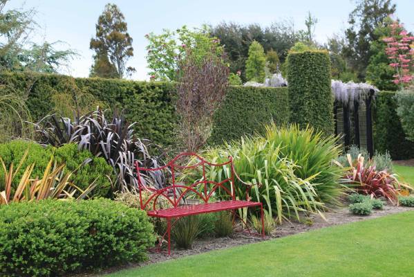 Best New Zealand Natives Images