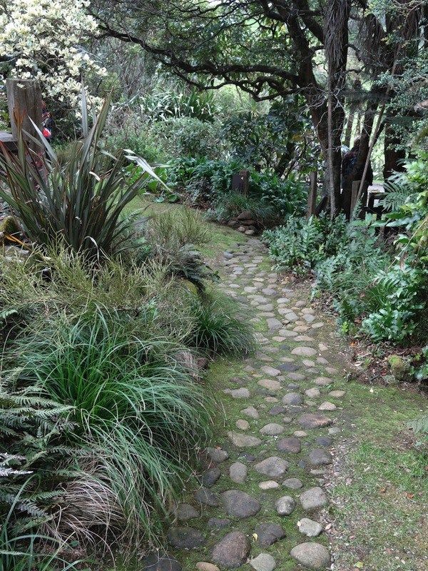 Other New Zealand Native Garden Tropical Garden