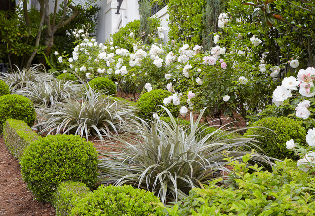 Landscape Design Blog