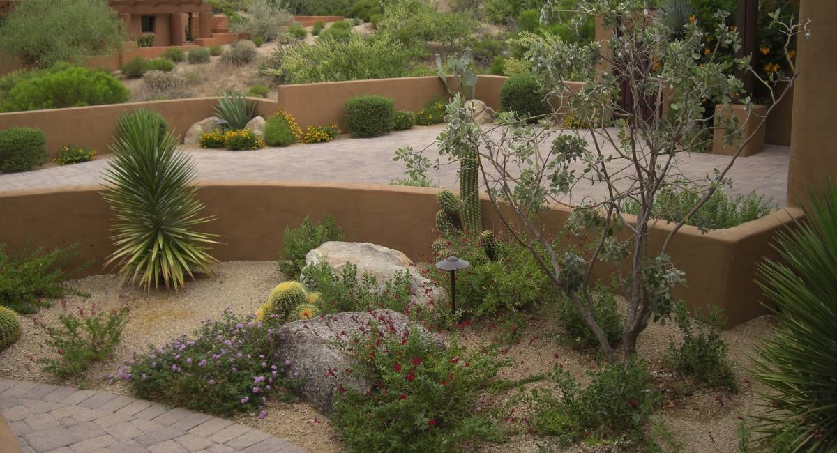 Garden Designs