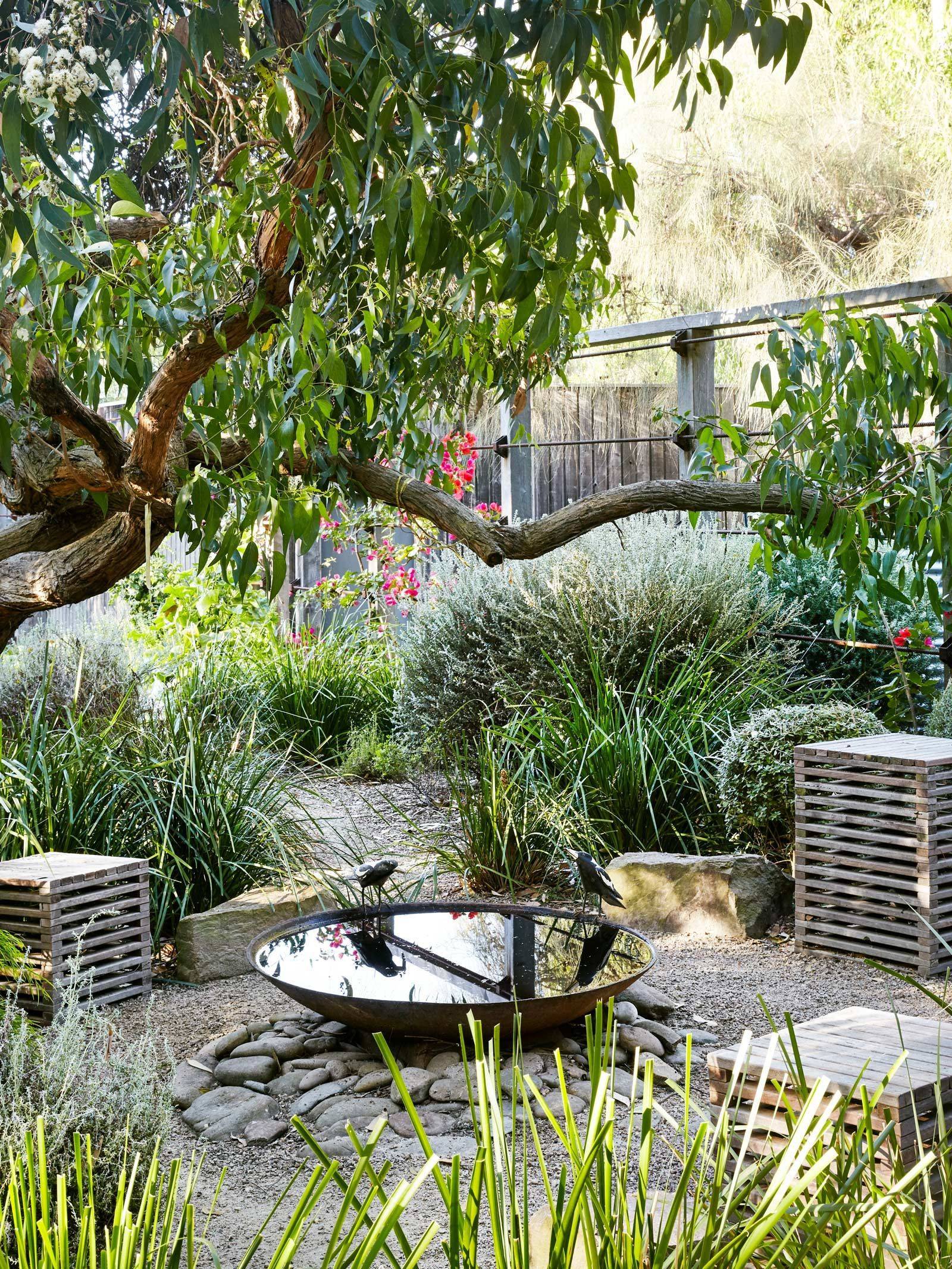 A Contemporary Australian Garden
