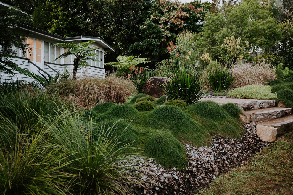 Native Australian Plants