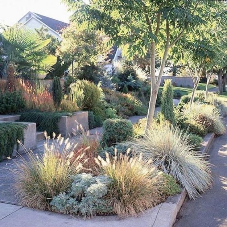Native Garden Design Melbourne