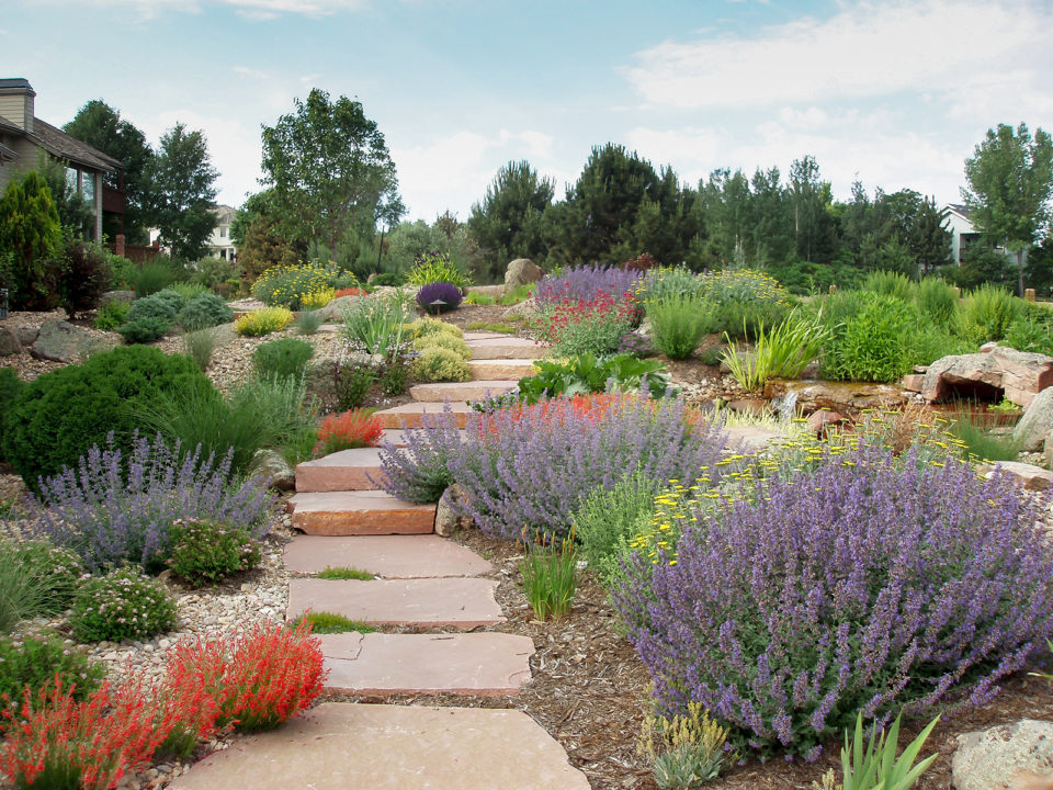 Sitedesignstudios Landscape Architecture