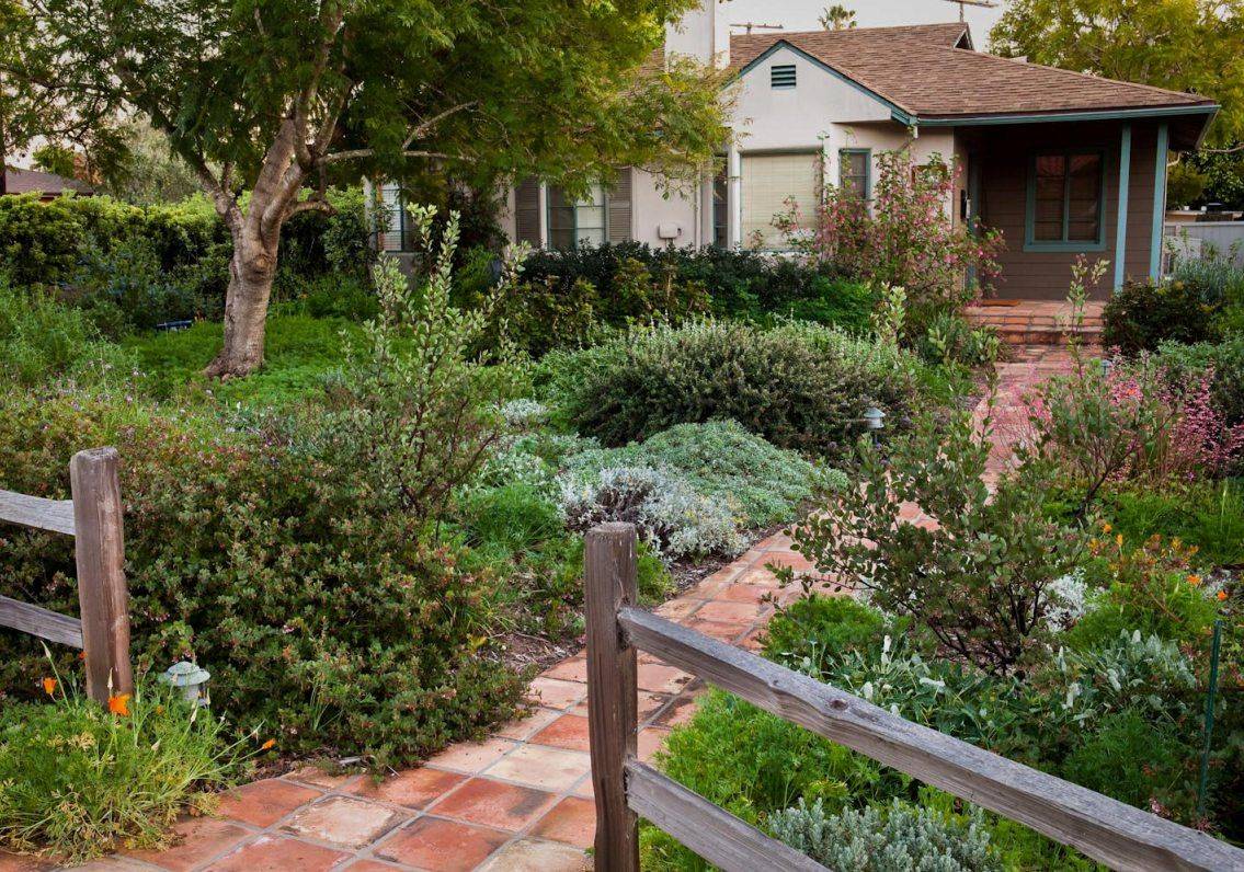 California Native Garden