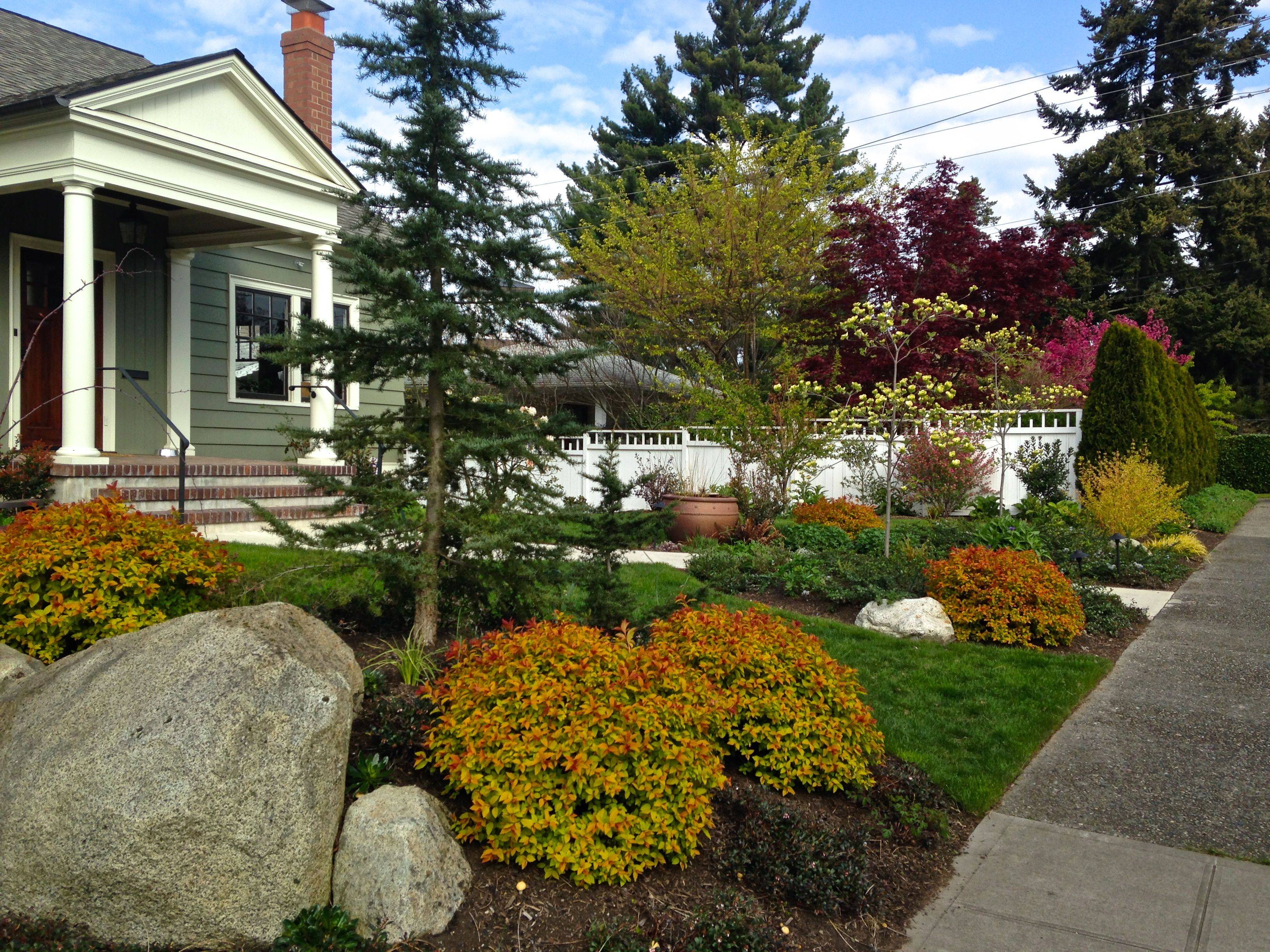 No Mow Garden Front Yard Garden