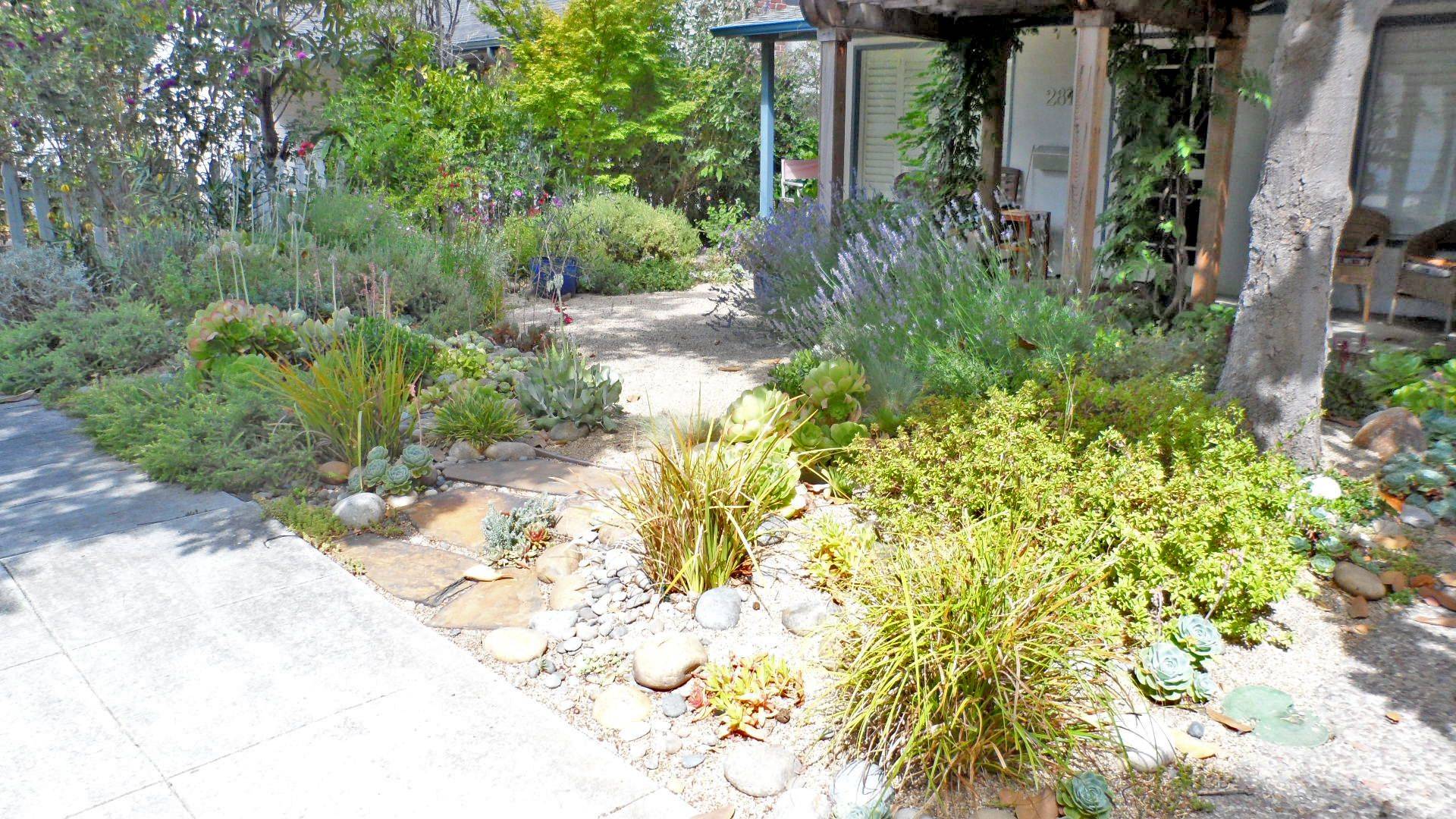 Tustin California Nativefriendly Front Yard Mediterranean