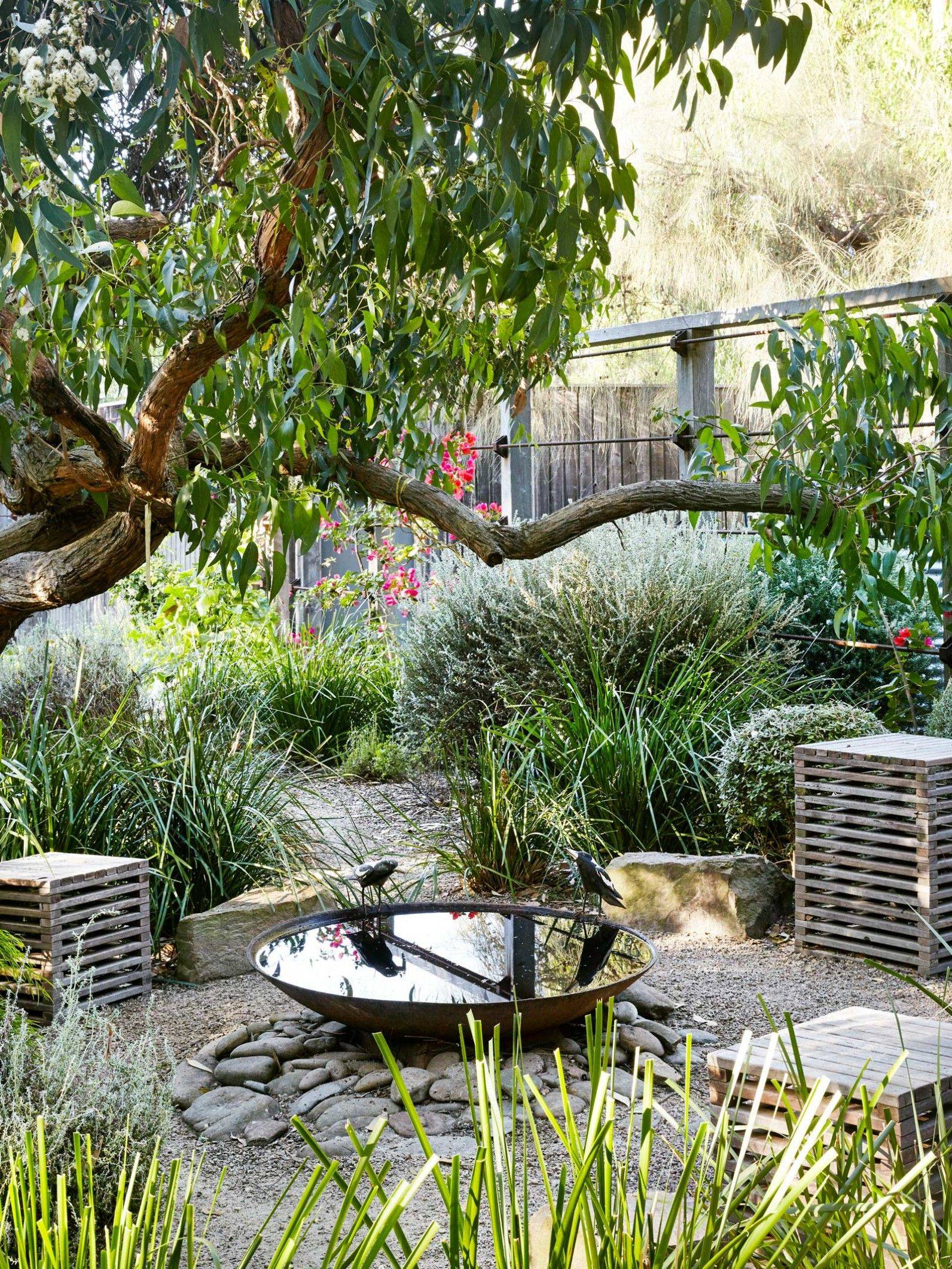 Native Australian Garden Design Ideas