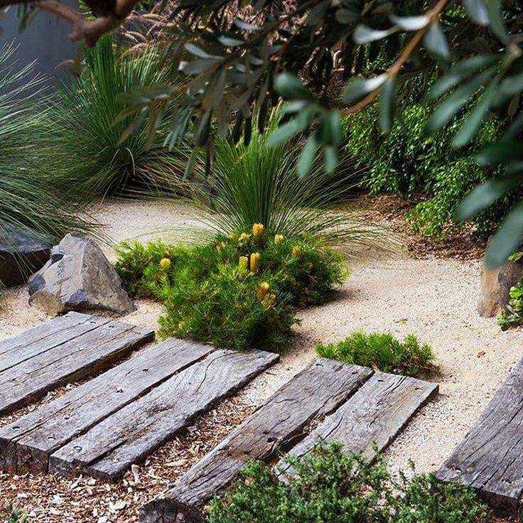 Illawarra Native Garden