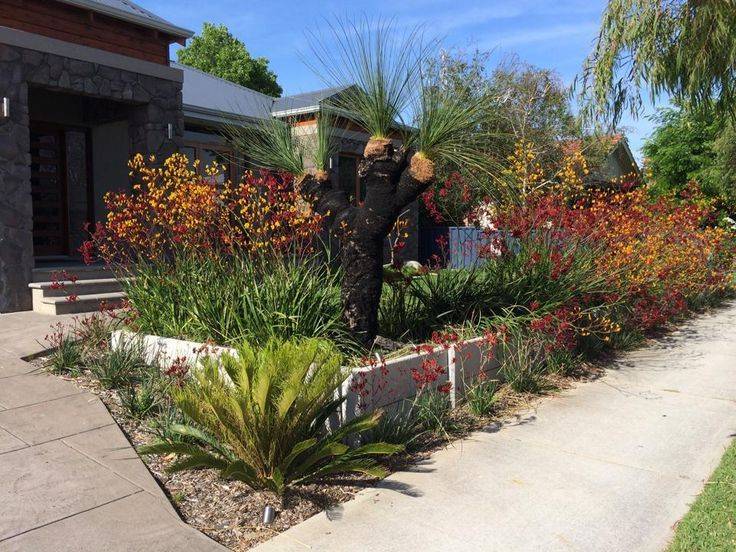 Australian Native Garden Design Small Urban Garden