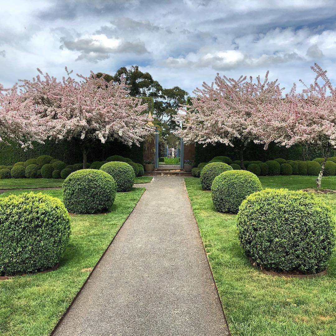 Our Australian Gardens