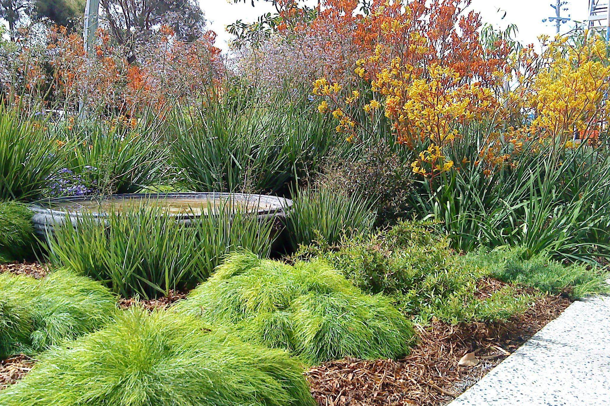 Unfamiliar Backyard Garden Ideas