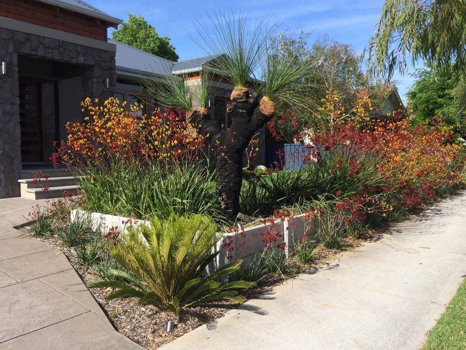 California Native Garden