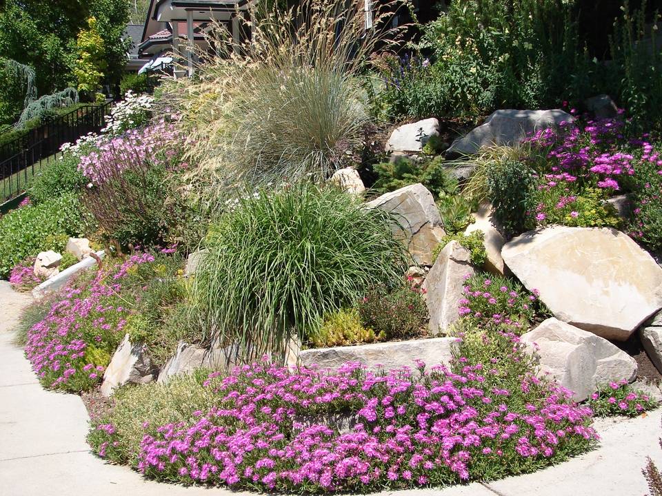 Beautiful Drought Tolerant Landscapes Images Landscape Ideas