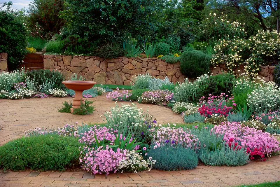 Drought Tolerant Garden