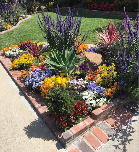 Drought Tolerant Garden
