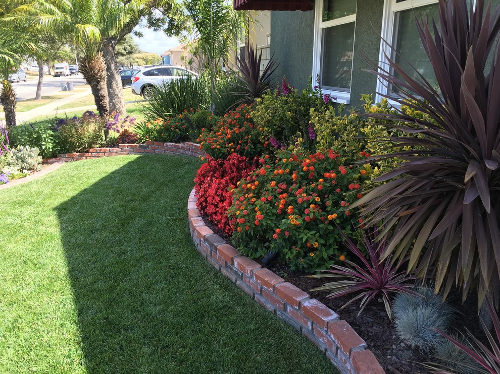 Garden Redo Droughttolerant California Coastal Yard