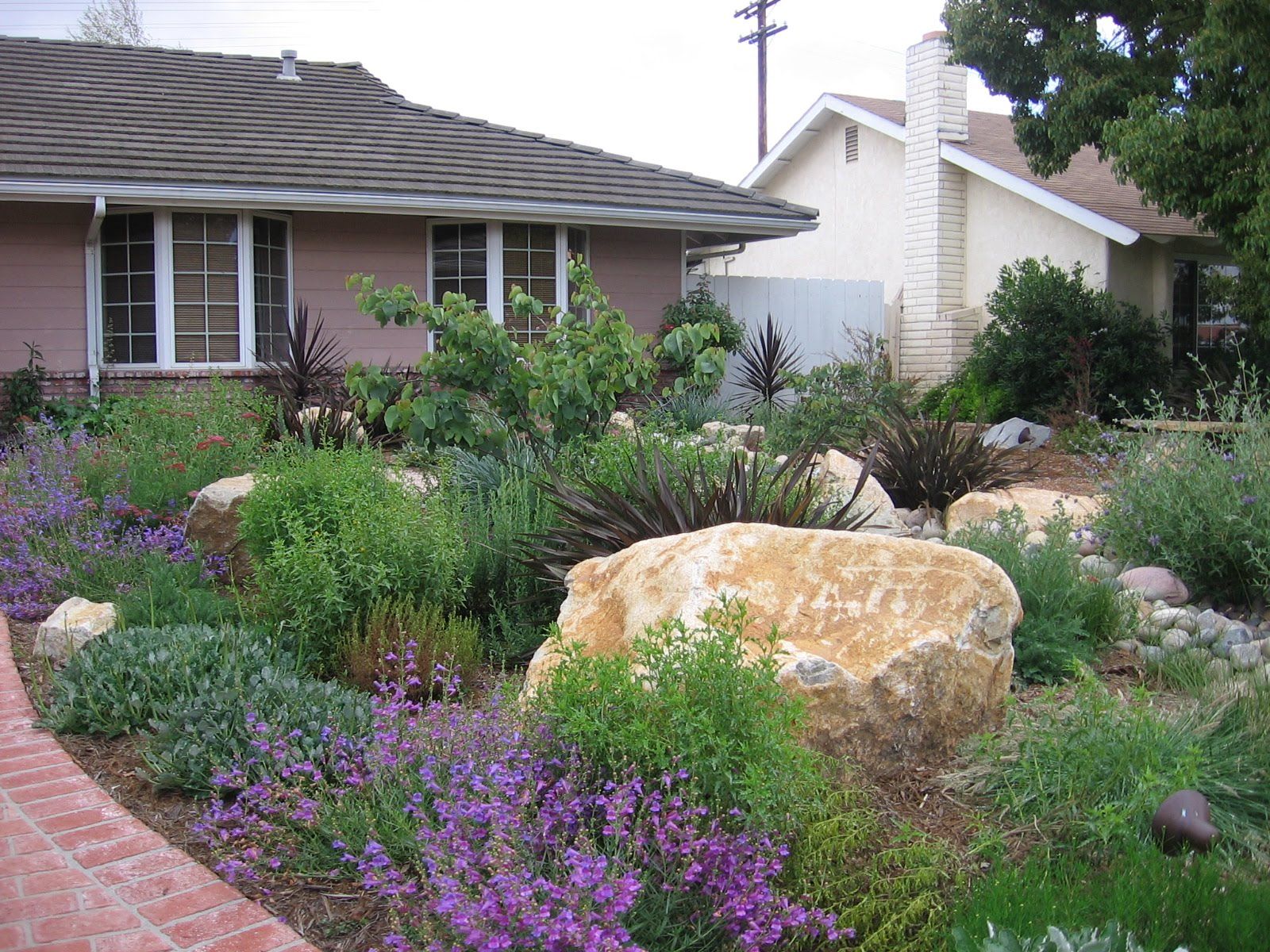 Garden Redo Droughttolerant California Coastal Yard