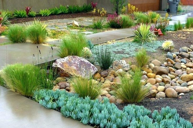 Long Beach Drought Tolerant Landscape Landscape Orange County By