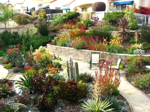 Long Beach Drought Tolerant Landscape Mediterranean Landscape
