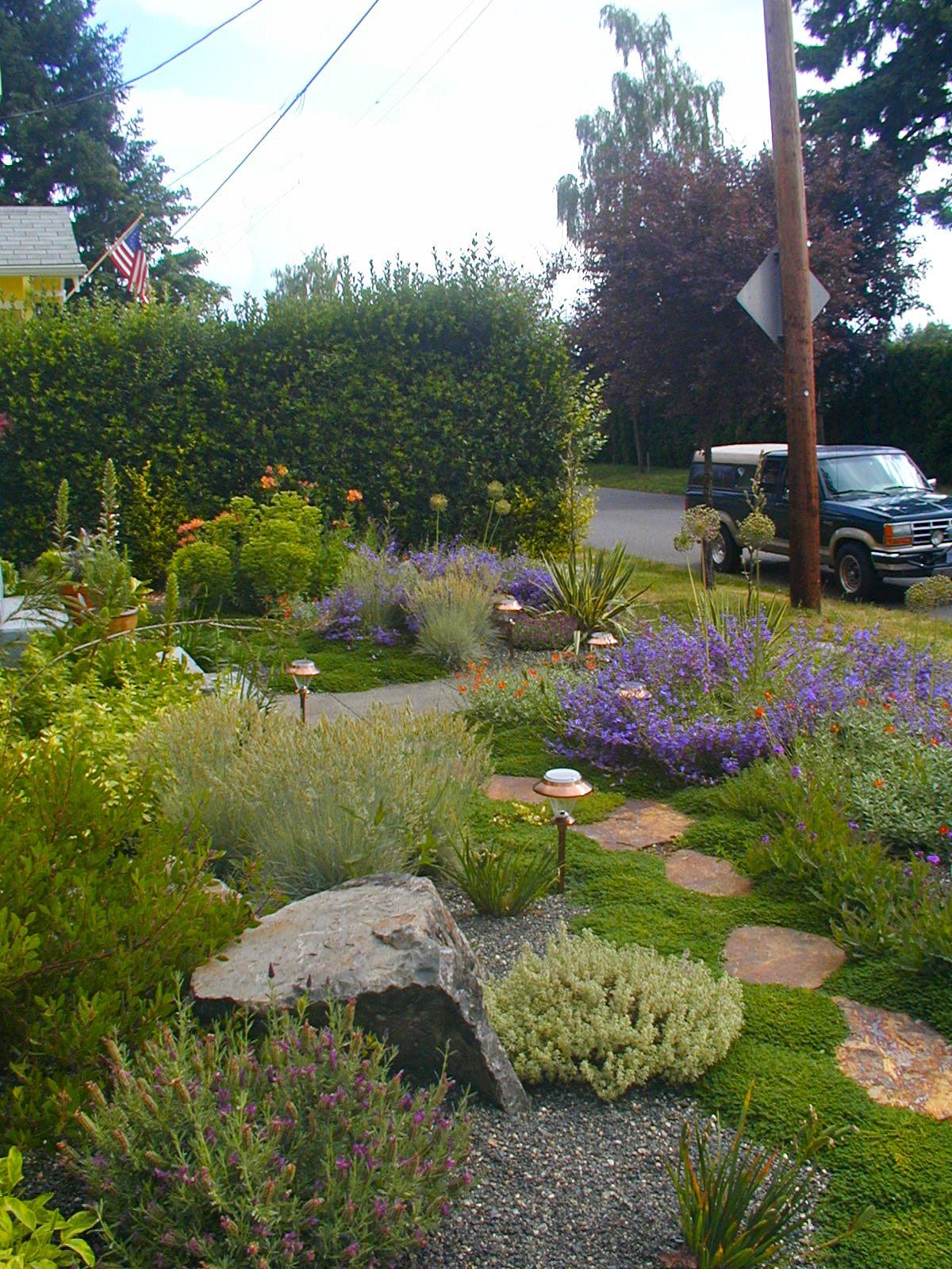 Long Beach Landscape Designer Colorful Drought Tolerant Garden