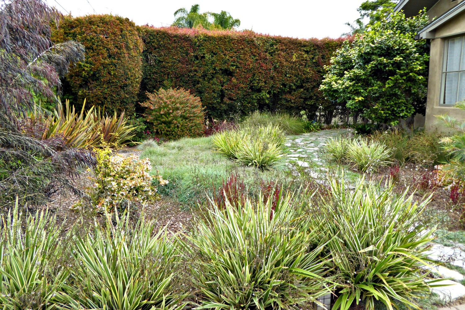 Perfect Desert Landscaping Ideas