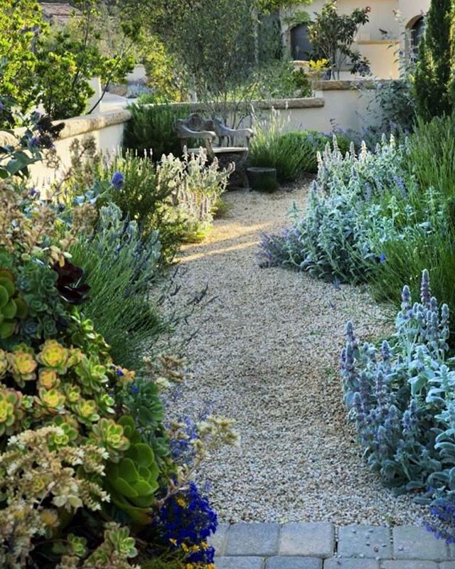 Pin On California Coastal Drought Tolerant Landscape