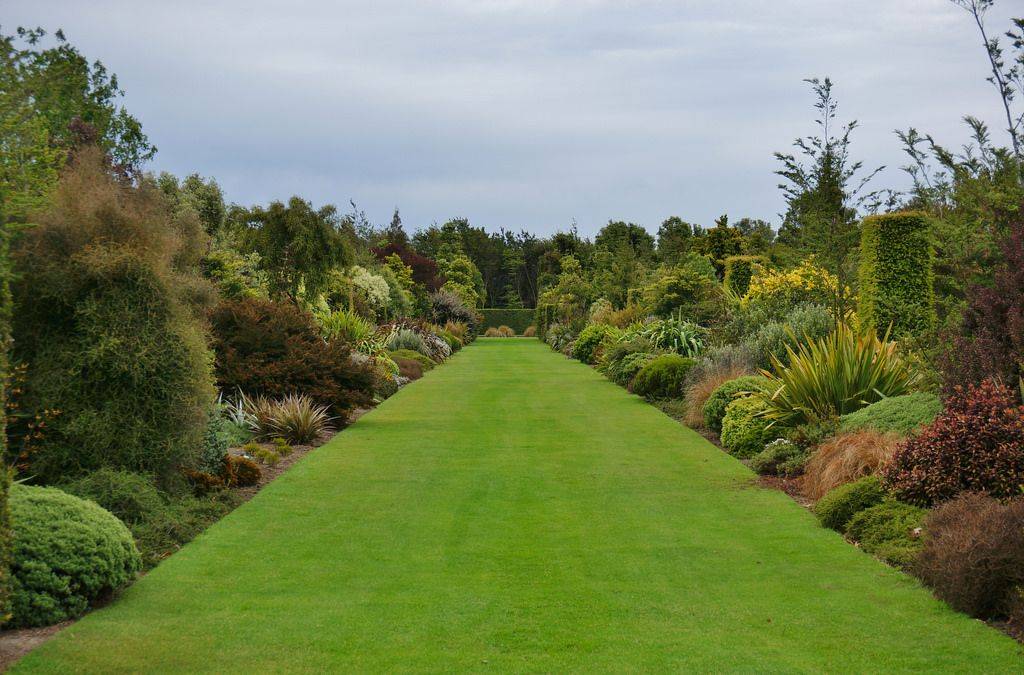 Broadfield Nz Landscape