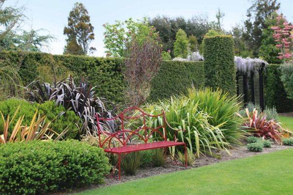 Other New Zealand Native Garden Tropical Garden