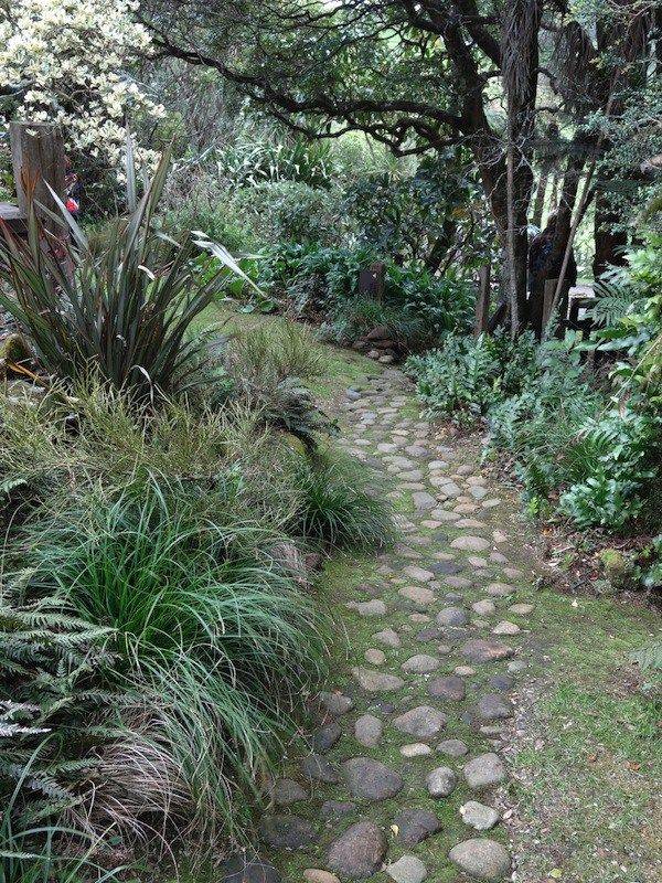 Native Garden Landscape Design New Zealand