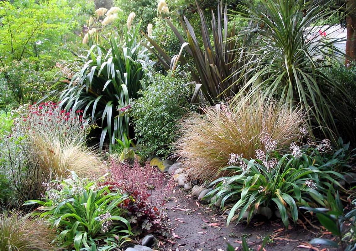 New Zealand Native Garden