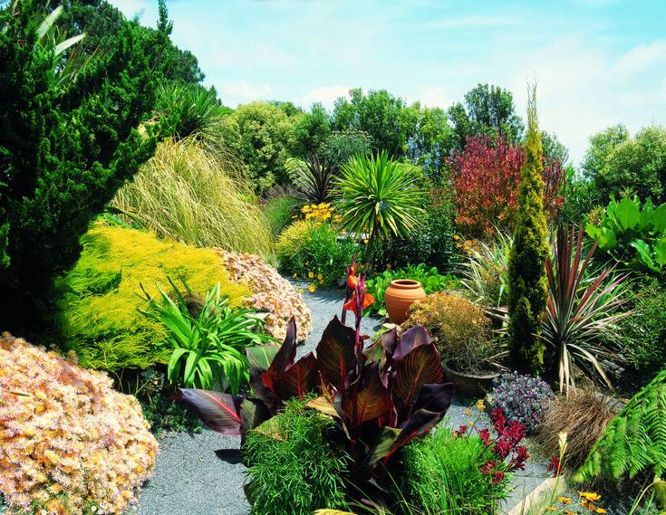 New Zealand Garden