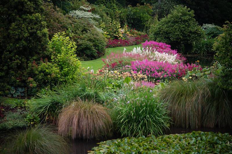 Modern Garden Design New Zealand Backyard Garden