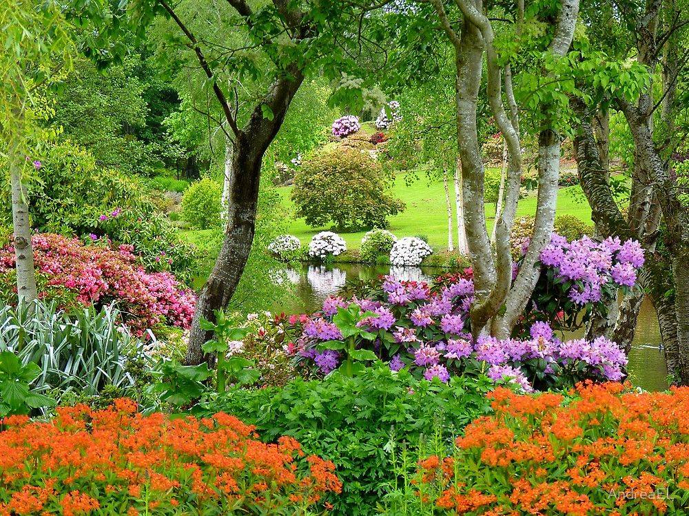 New Zealand Azalea And Rhododendron Garden Azaleas Landscaping