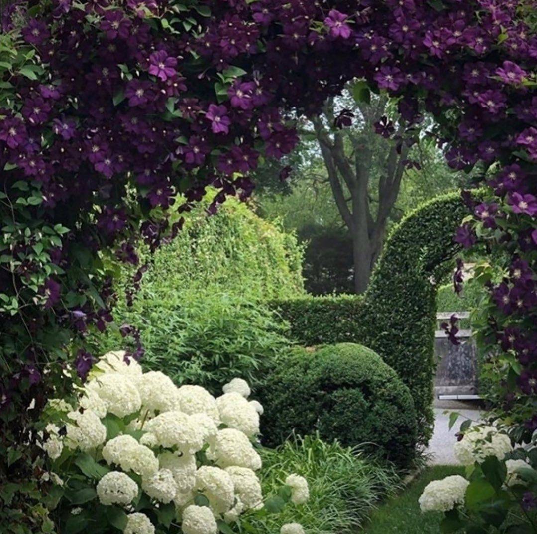 New Zealand Garden