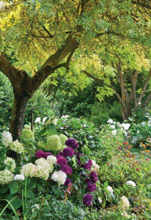 Our Top Five New Zealand Gardens