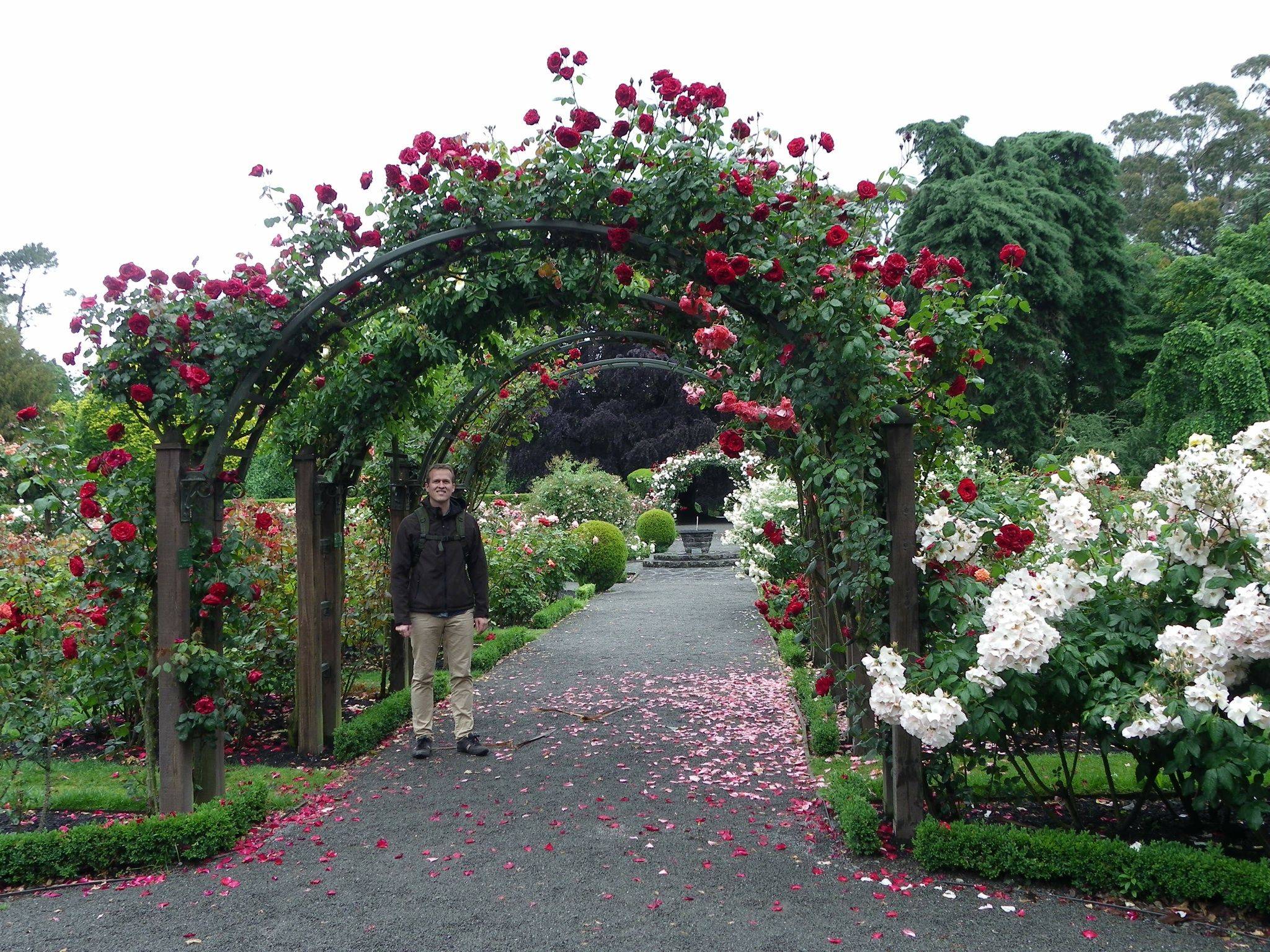 Amazing Christchurch Botanical Gardens