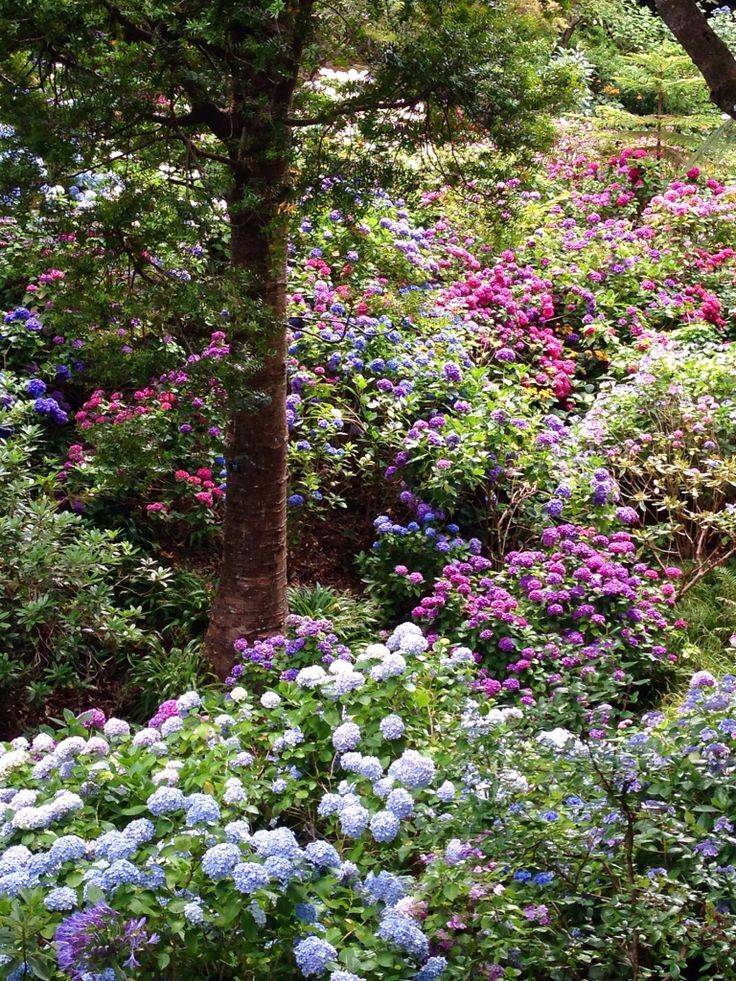 Amazing Christchurch Botanical Gardens
