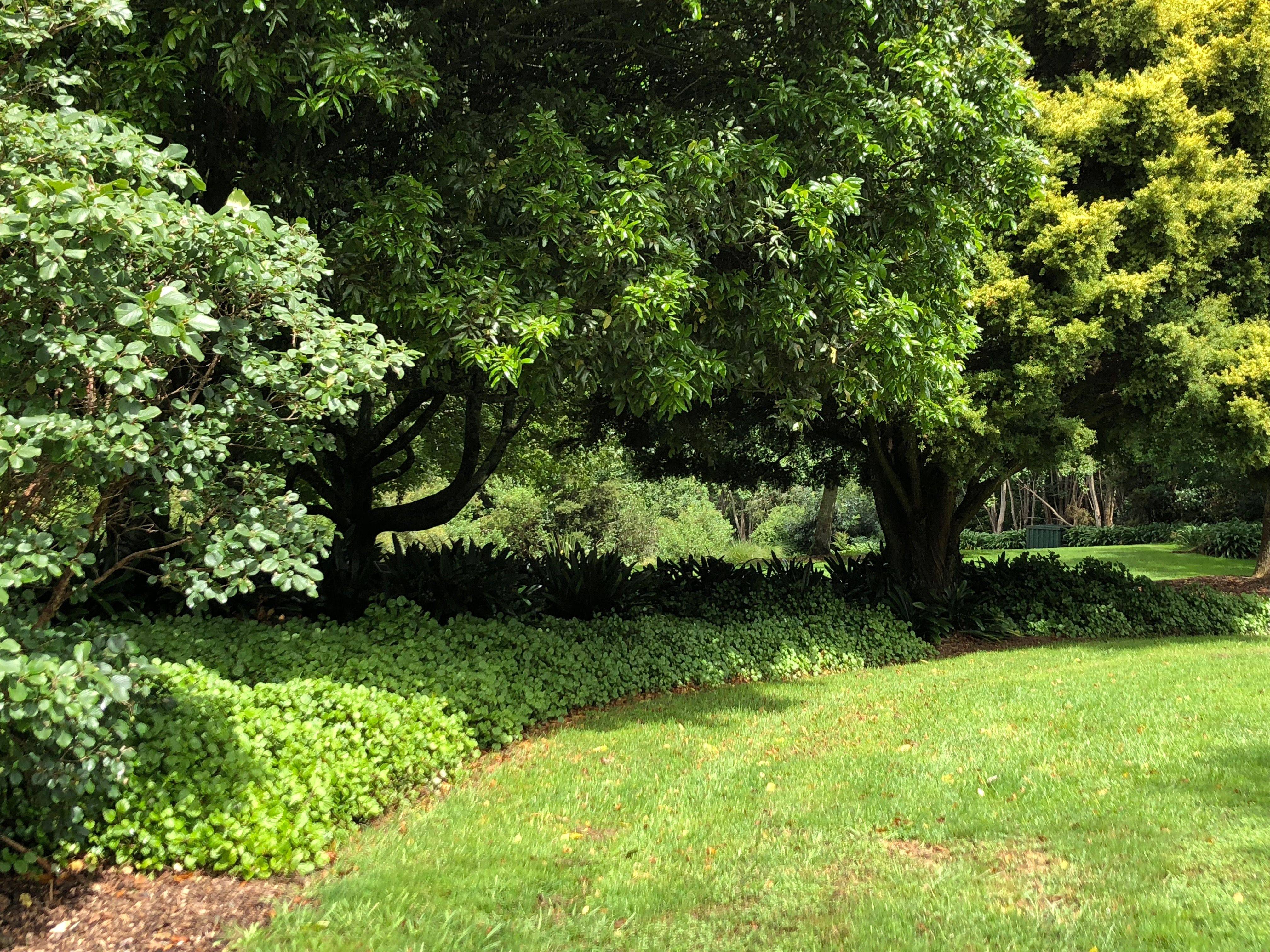 Christchurch Botanical Gardens