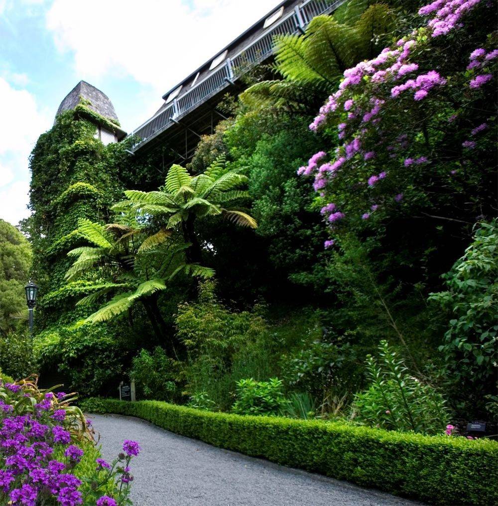 Wellington Botanic Garden