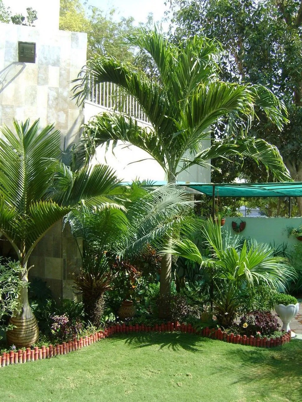 Hawaii Landscaping Ideas
