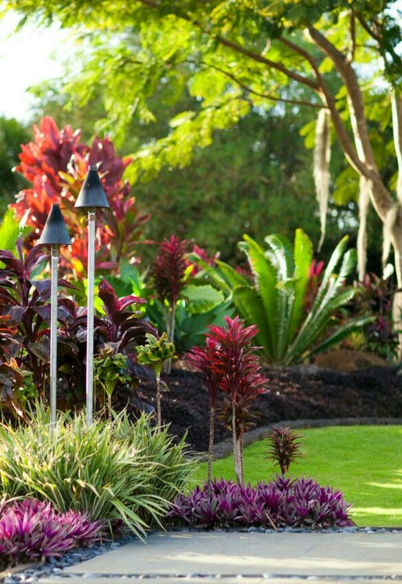 And A Few Questions Tropical Looking