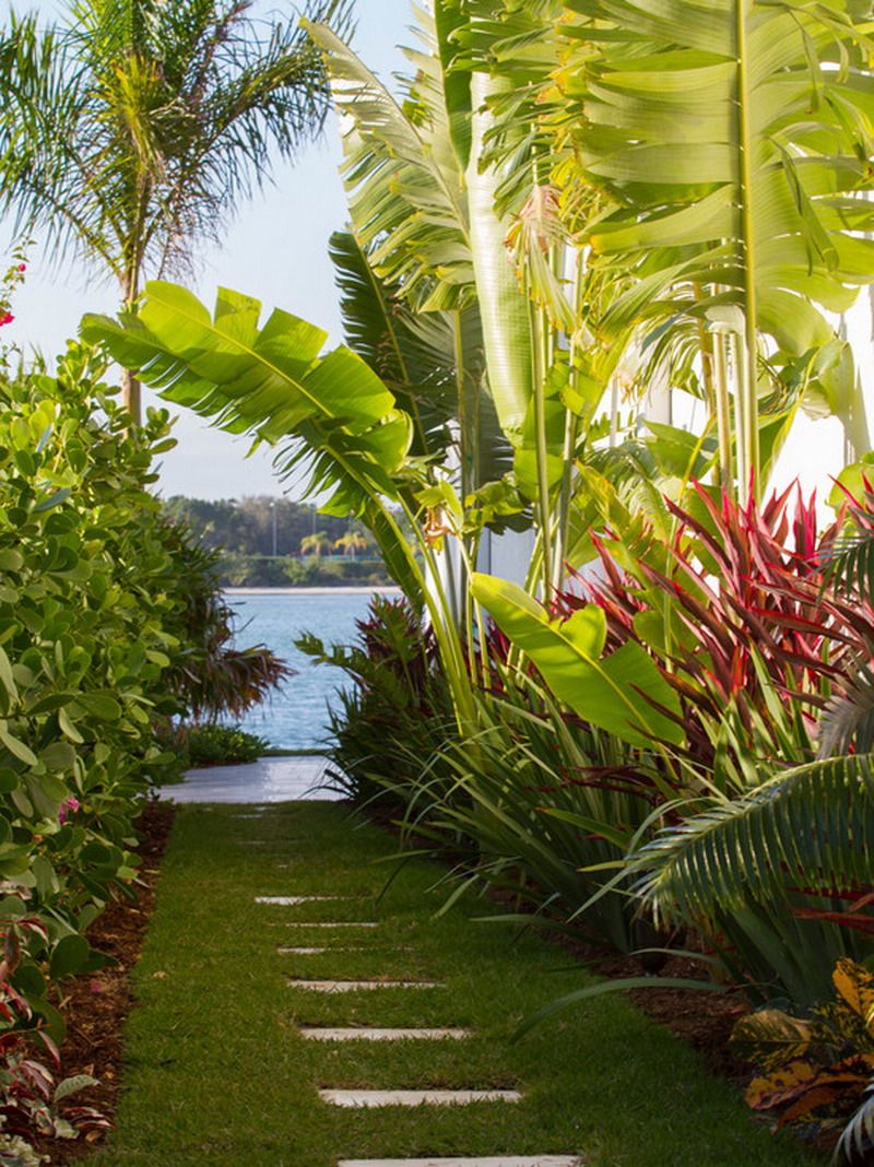 Tropical Flower Garden Design Ideas