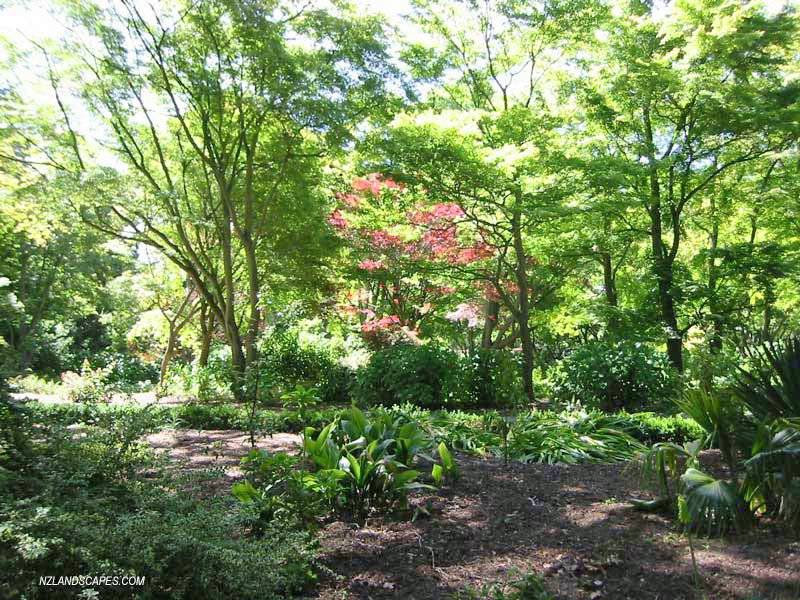 Christchurch Botanic Gardens Andreael Photography Southland New